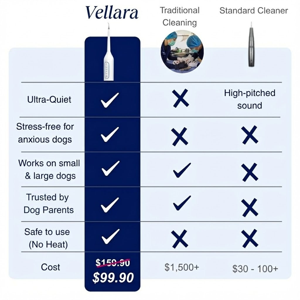 Vellara Dental Care Bundle