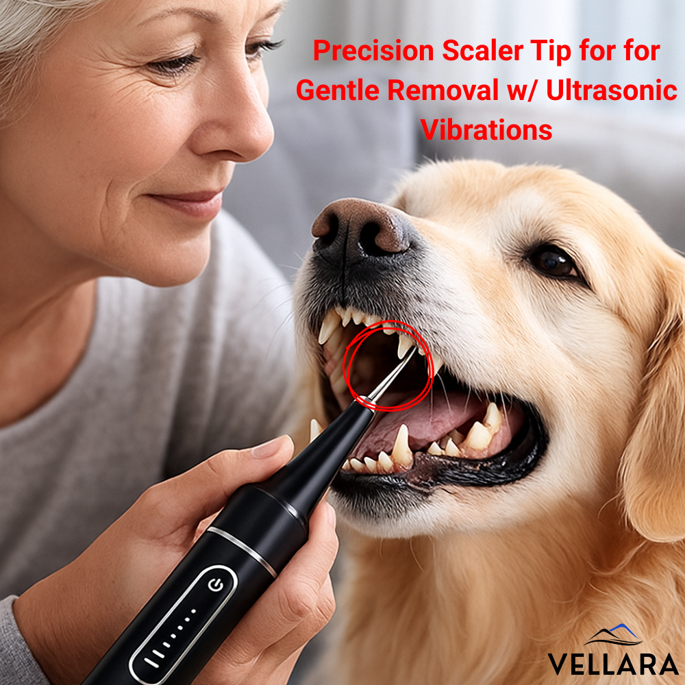 Vellara Dental Care Bundle