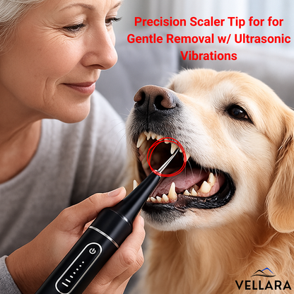 Vellara Dental Care Bundle