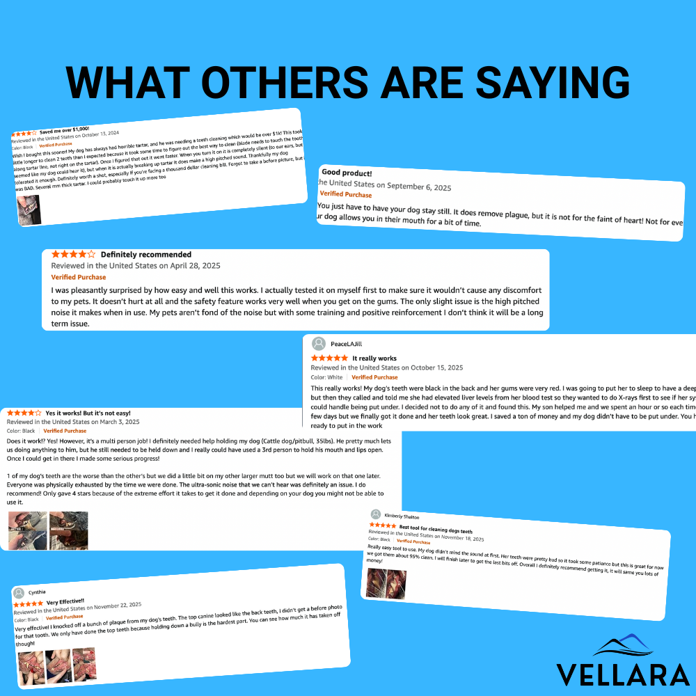 Vellara Dental Care Bundle