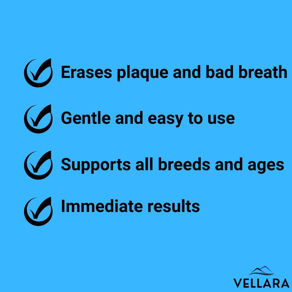 Vellara Dental Care Bundle