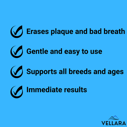 Vellara Dental Care Bundle